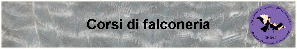 Corsi di falconeria