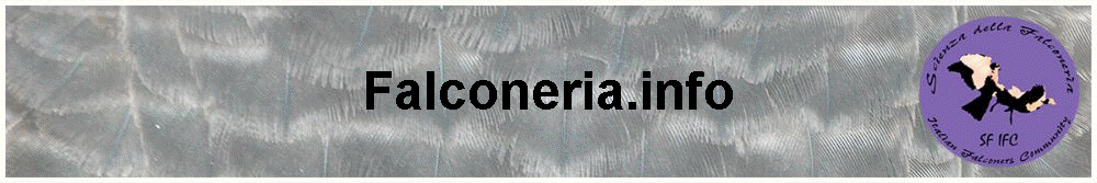 Falconeria.info