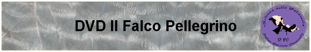 DVD Il Falco Pellegrino