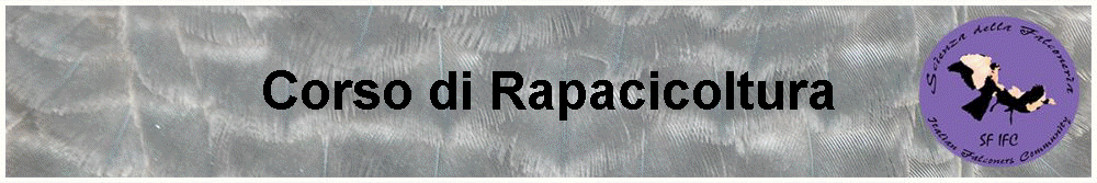 Corso di Rapacicoltura