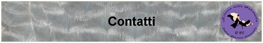 Contatti