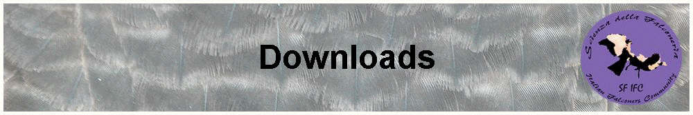 Downloads