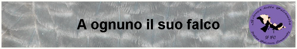 A ognuno il suo falco