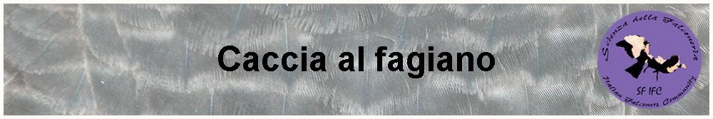 Caccia al fagiano