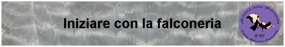Iniziare con la falconeria