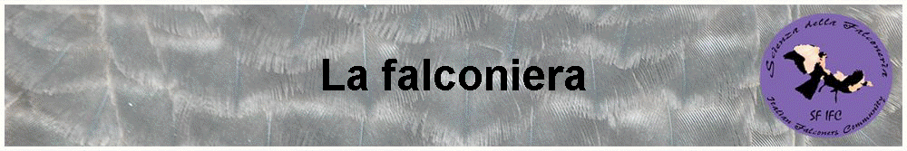 La falconiera