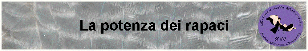 La potenza dei rapaci