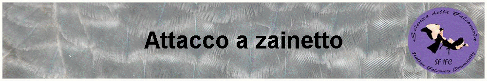 Attacco a zainetto