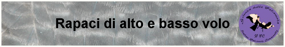 Rapaci di alto e basso volo