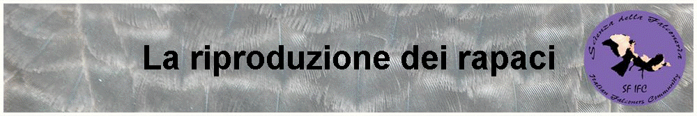 La riproduzione dei rapaci