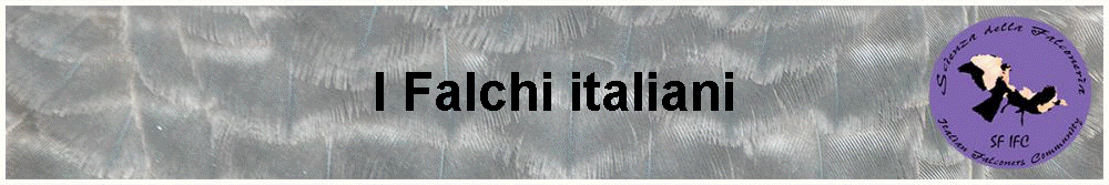 I Falchi italiani